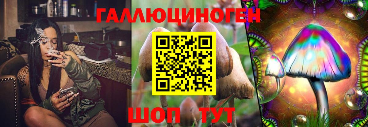 Галлюциногенные грибы GOLDEN TEACHER  Вход с VPN  Курчатов 